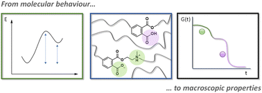 Characterising different molecular landscapes in dynamic covalent networks